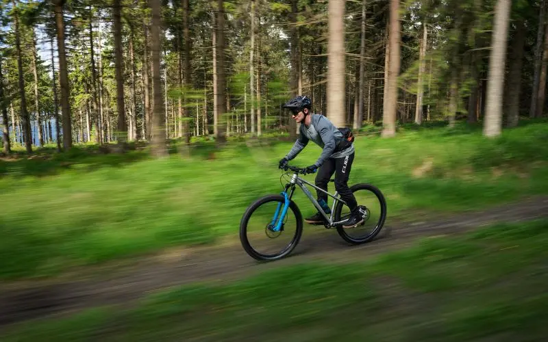vtt en forêt